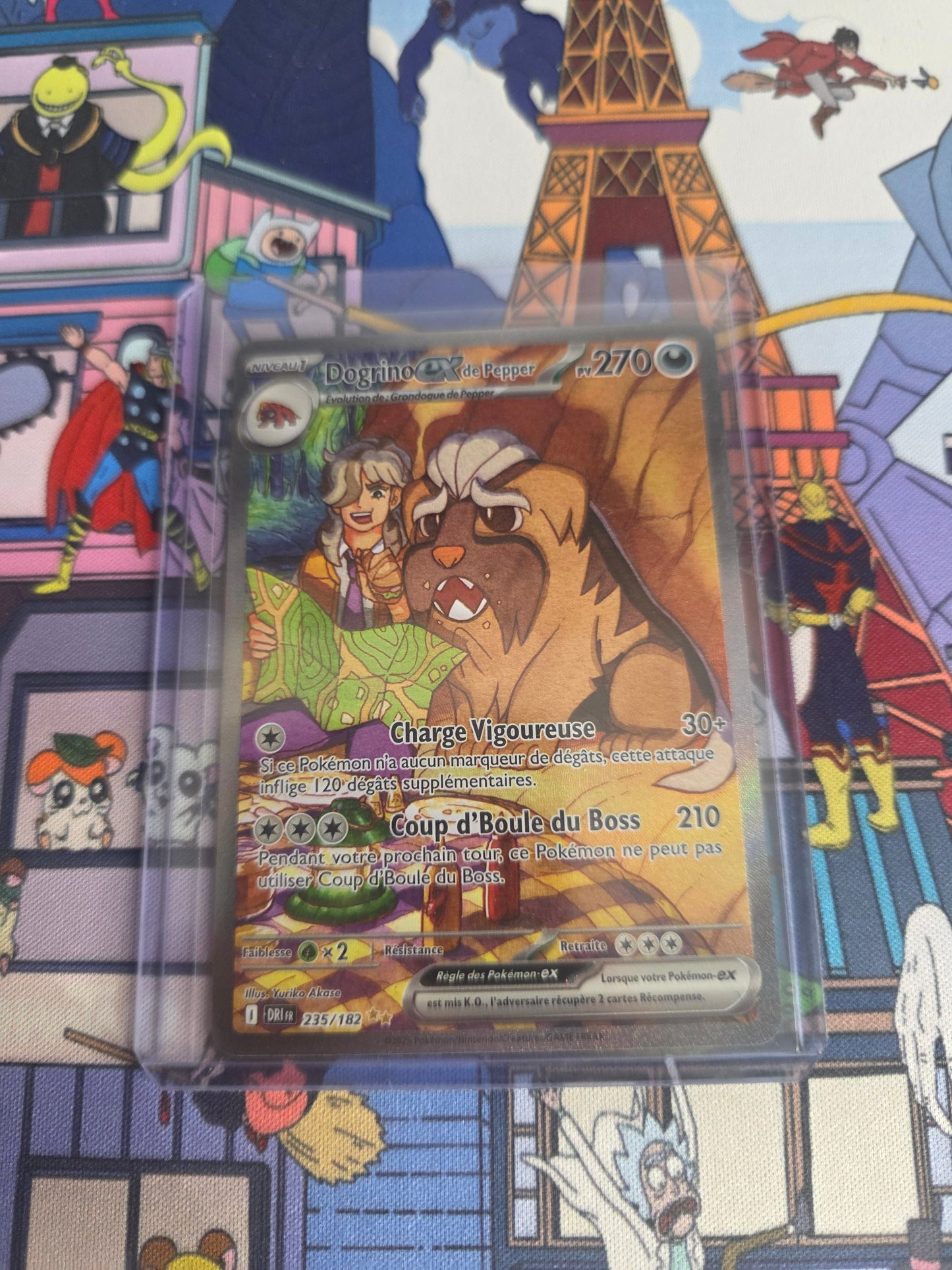 dogrino ex alternative