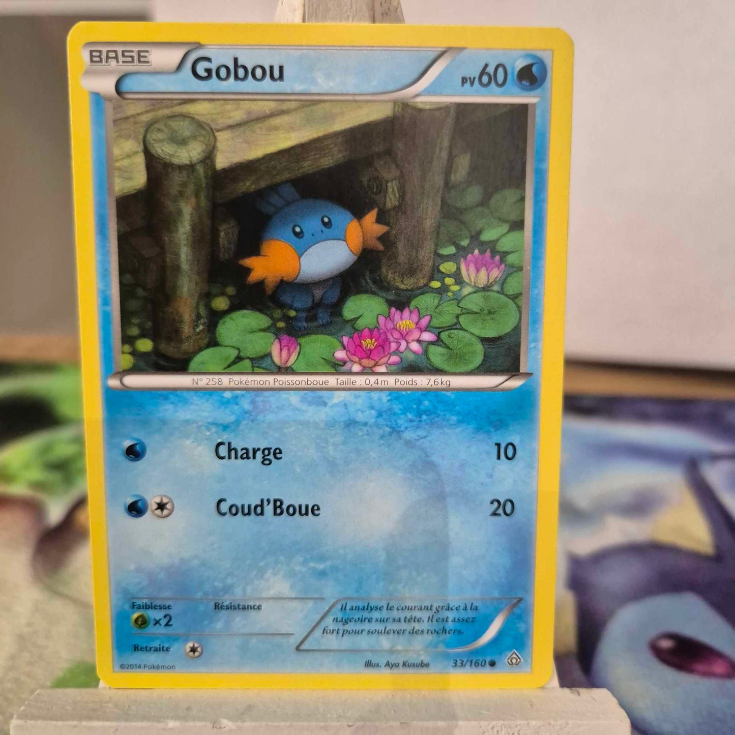 Gobou - Primo Choc 33/160