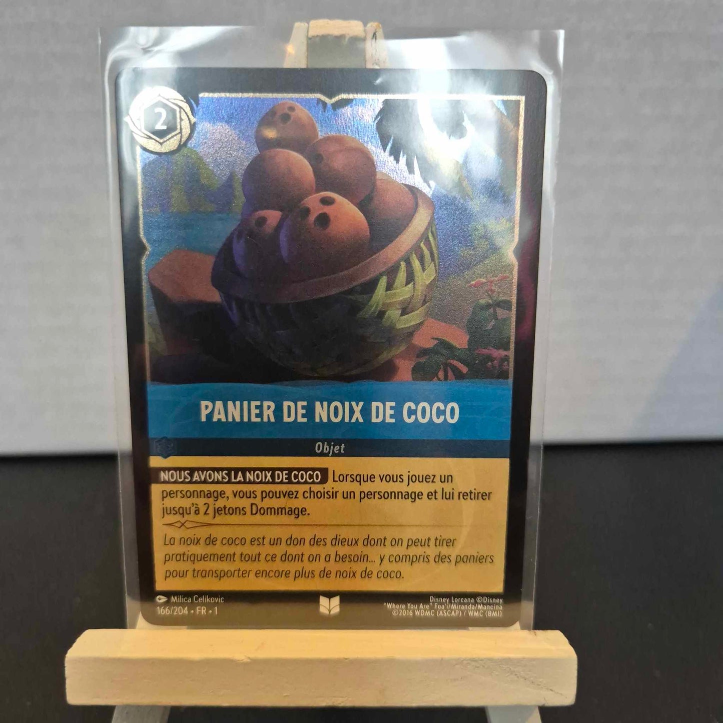 Panier de Noix de Coco - Inhabituelle 166/204