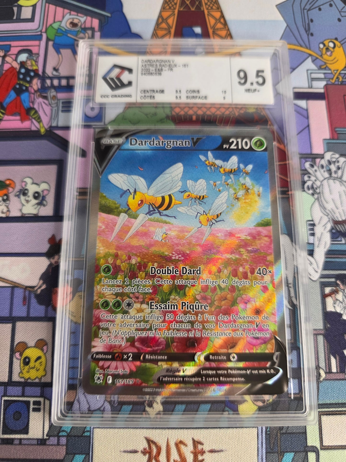 DARDAGNAN V ALTERNATIVE ASTRES RADIEUX CCC 9.5