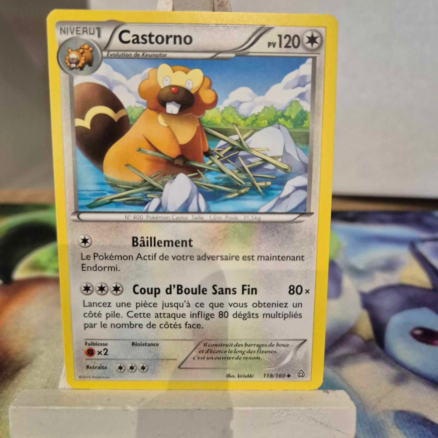 Castorno - Primo Choc 118/160