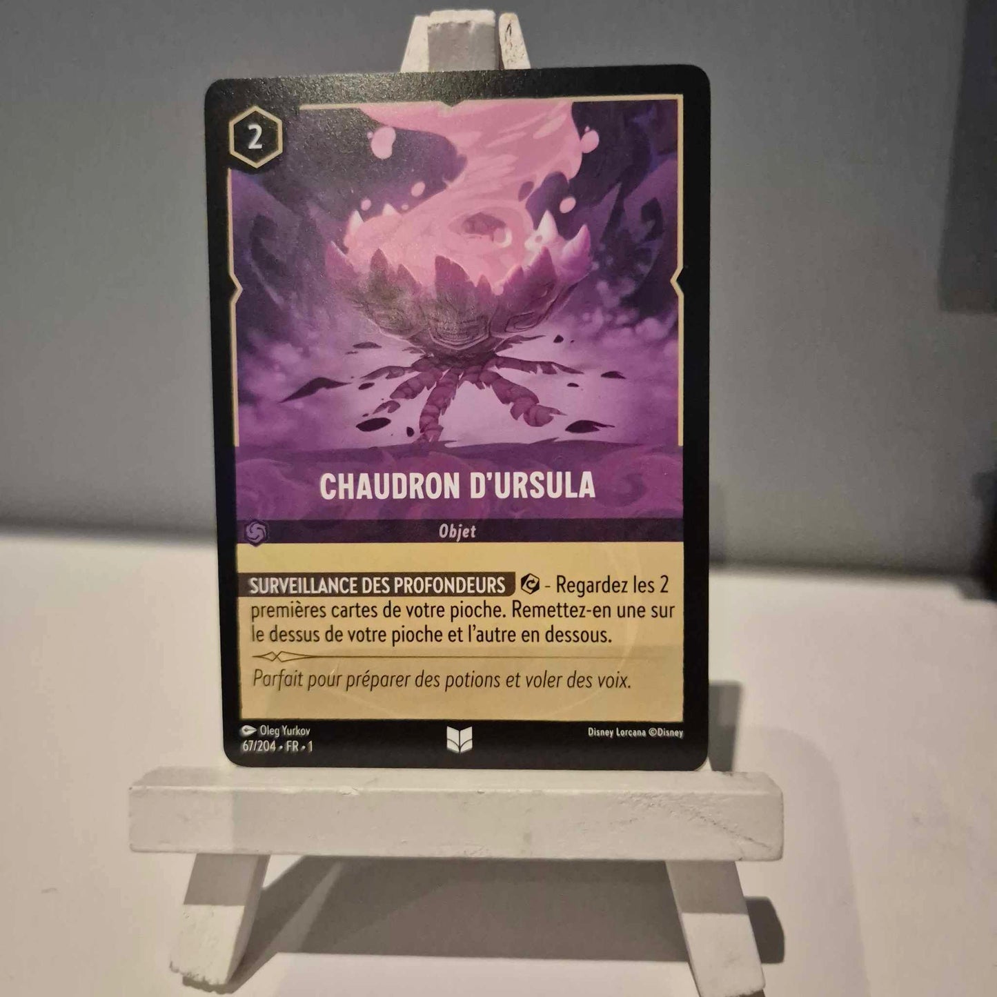 Chaudron d'Ursula -Inhabituelle 67/204