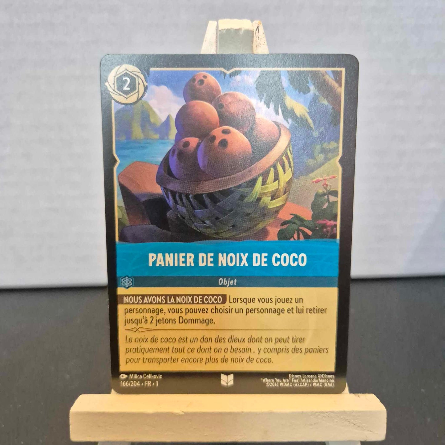 Panier de Noix de Coco - Inhabituelle 166/204