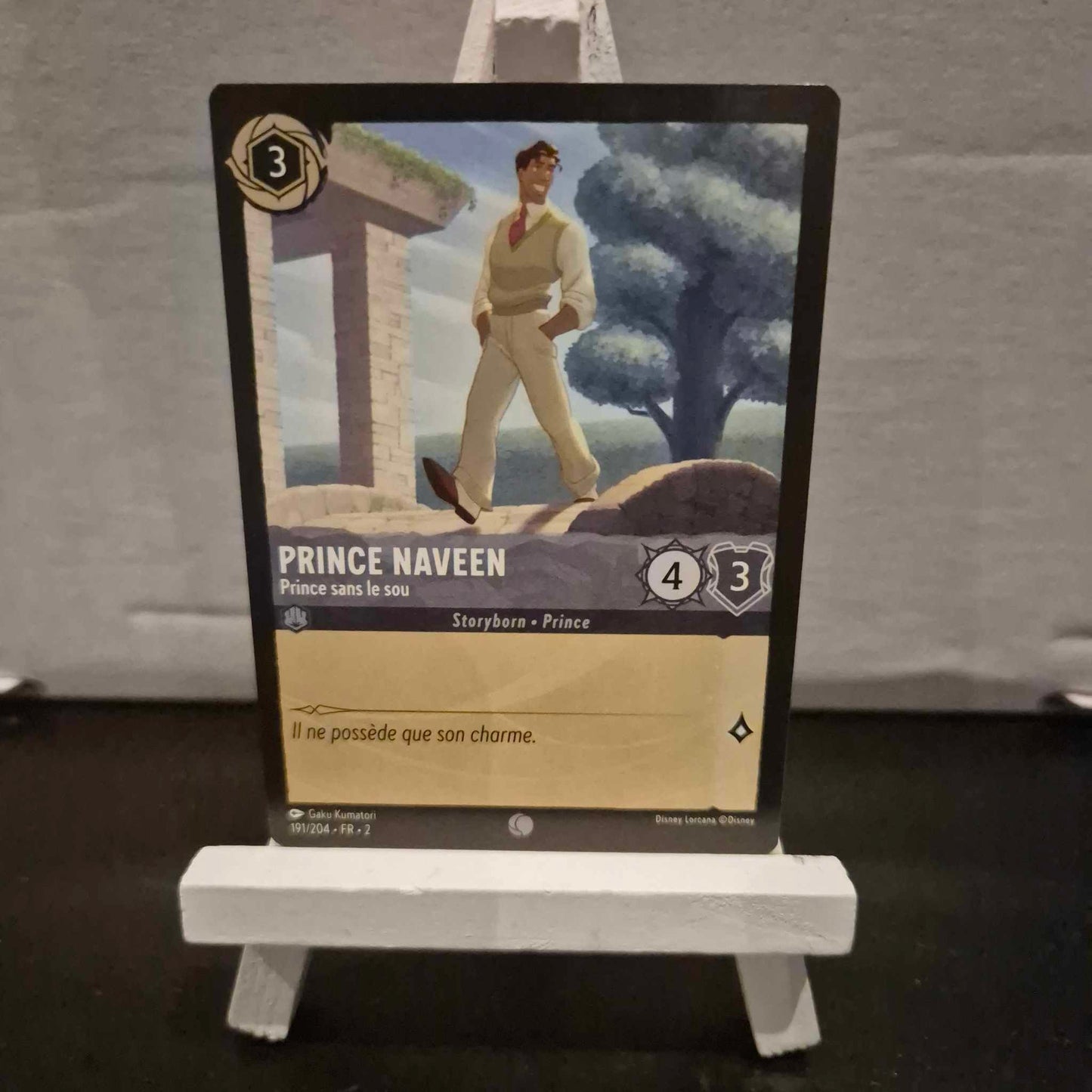 Prince Naveen Prince sans le sou - Commune 191/204