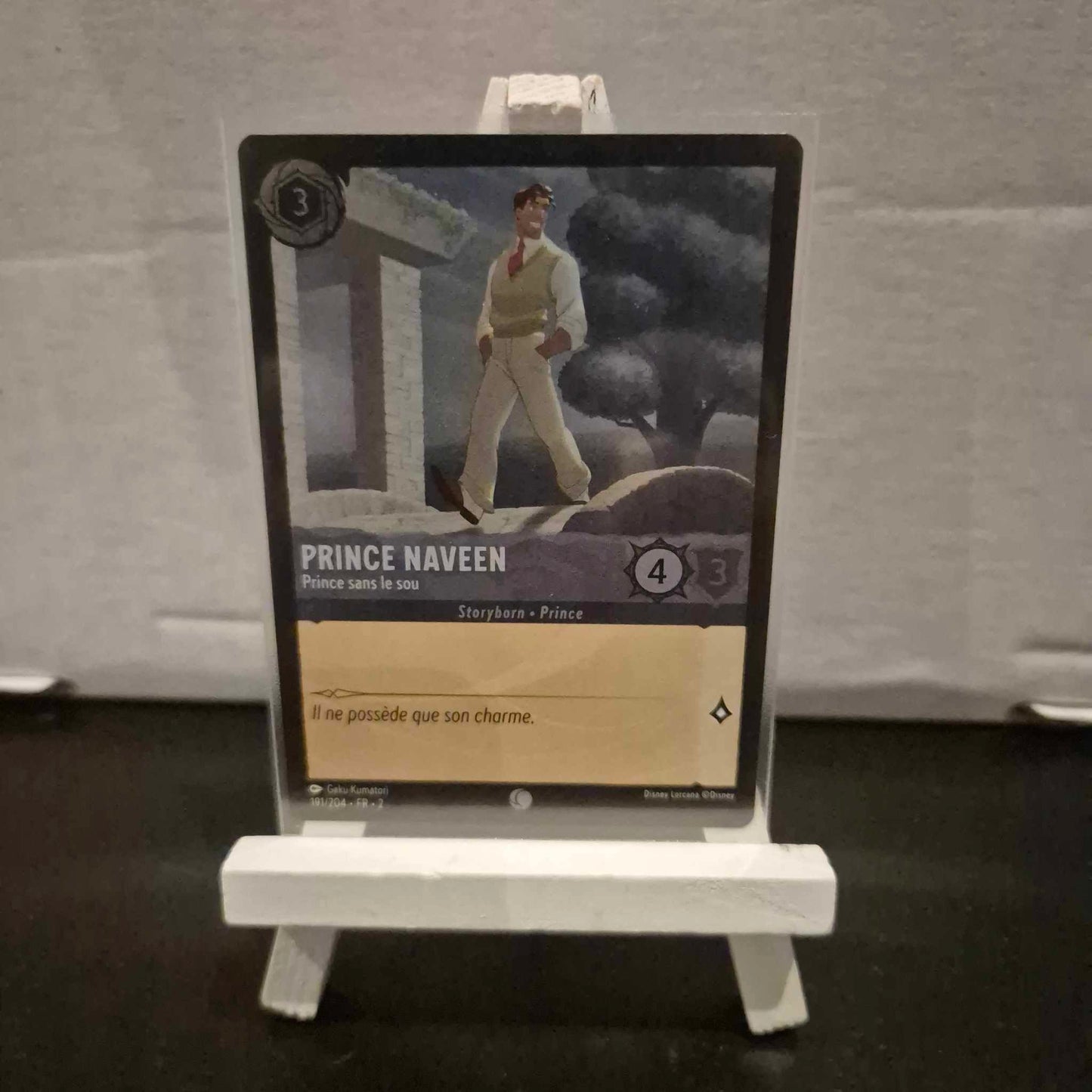 Prince Naveen Prince sans le sou - Commune 191/204