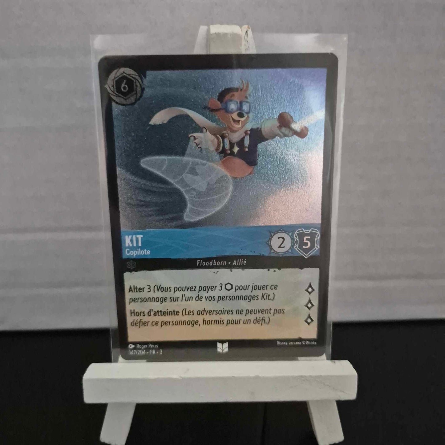 Kit Copilote - Inhabituelle 147/204