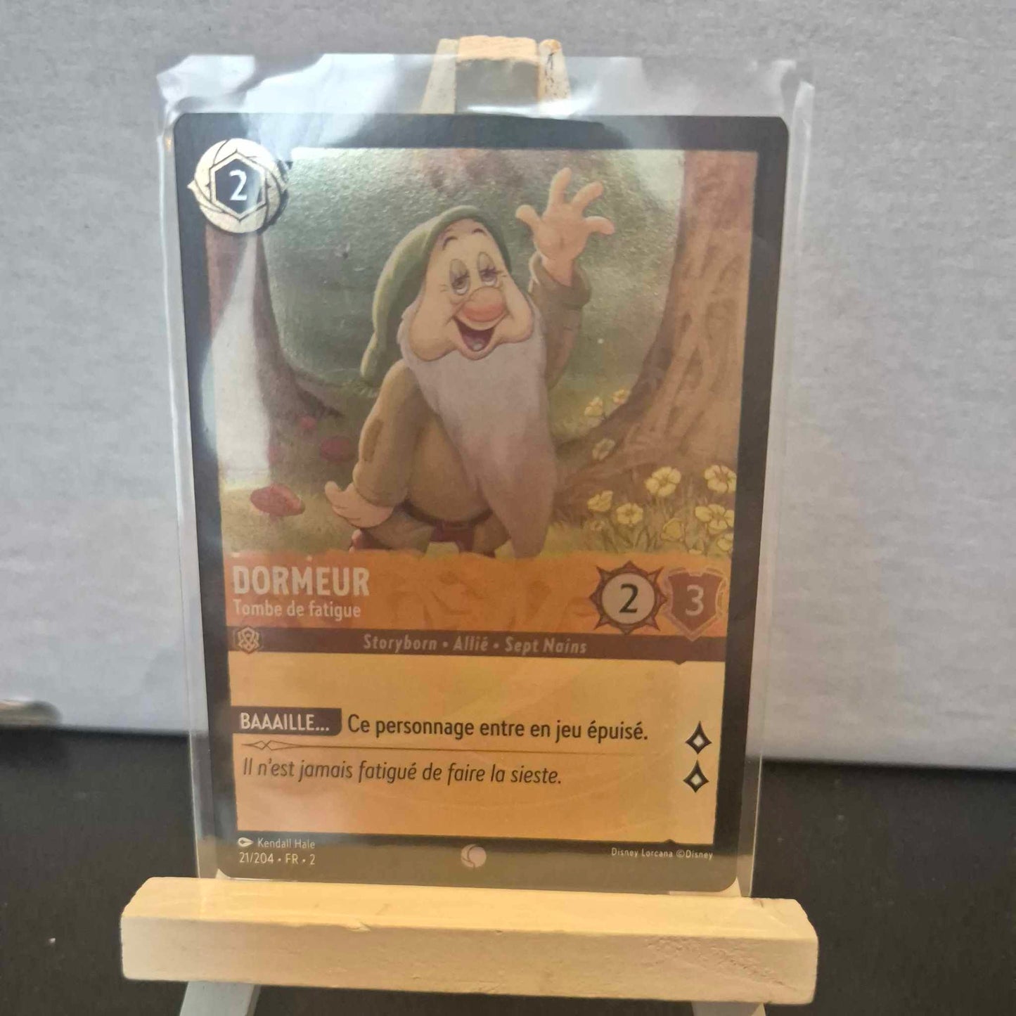 Dormeur Tombe de Fatigue - Commune 21/204