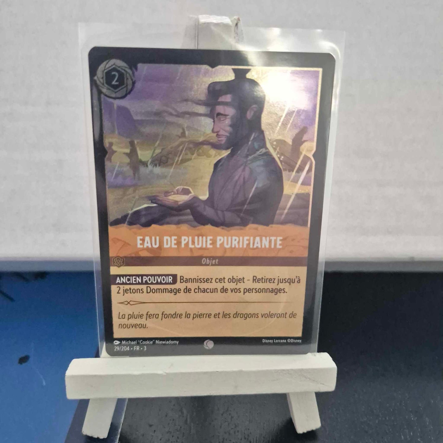 Eau de pluie purifiante - Commune 29/204