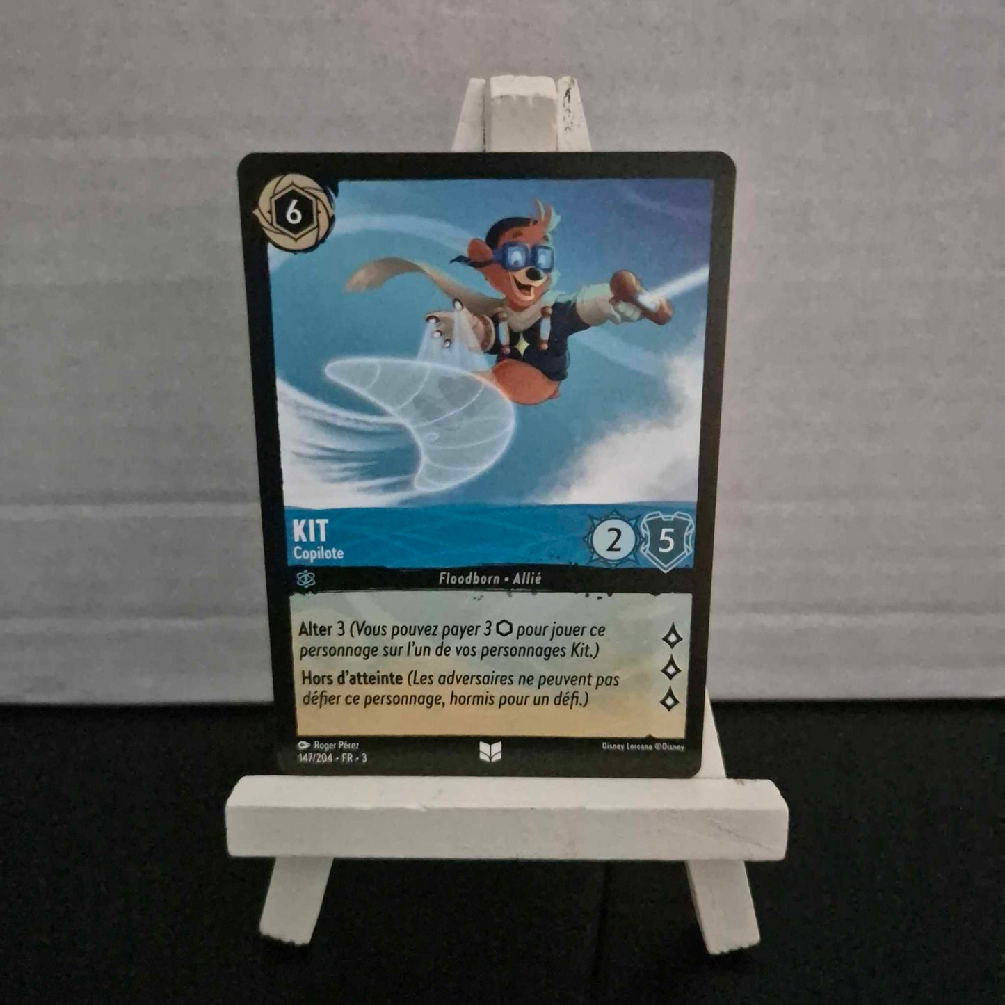 Kit Copilote - Inhabituelle 147/204