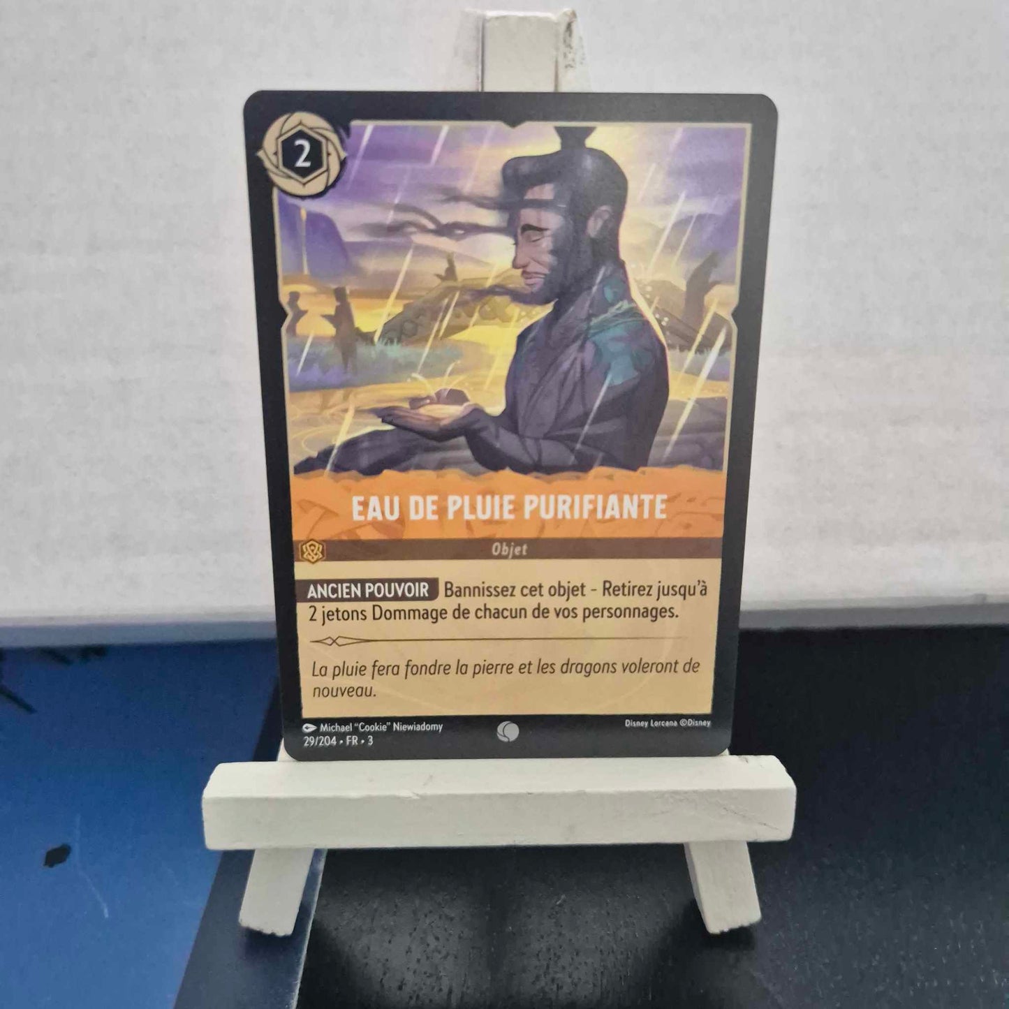 Eau de pluie purifiante - Commune 29/204