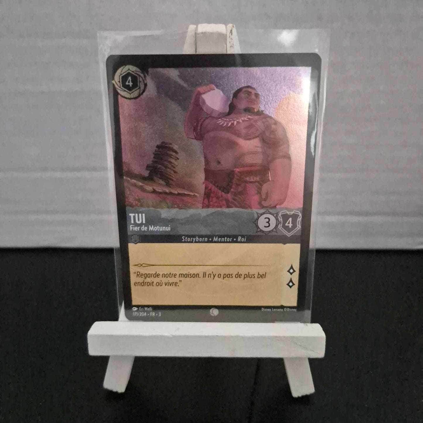 Tui Fier de Motunui - Commune 171/204